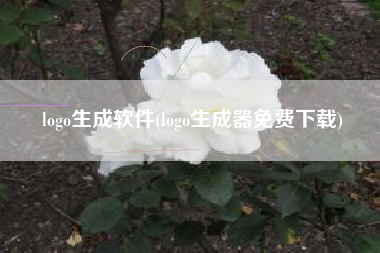 logo生成软件(logo生成器免费下载)