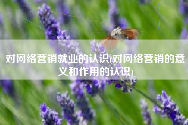对网络营销就业的认识(对网络营销的意义和作用的认识)