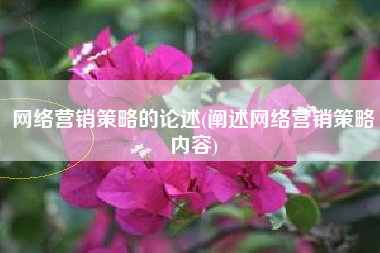 网络营销策略的论述(阐述网络营销策略内容)