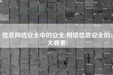 信息网络安全中的安全(网络信息安全的5大要素)