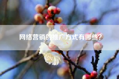 网络营销的推广方式有哪些？