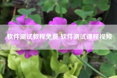 软件测试教程免费 软件测试课程视频