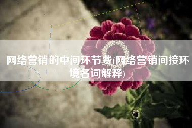 网络营销的中间环节费(网络营销间接环境名词解释)