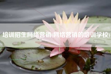 培训招生网络营销(网络营销的培训学校)