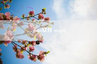 stopt软件 stoppt