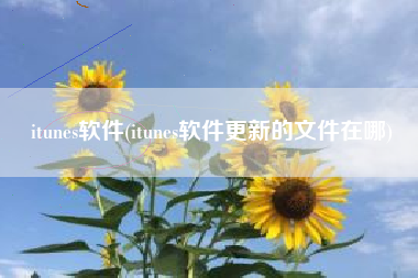itunes软件(itunes软件更新的文件在哪)