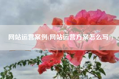 网站运营案例(网站运营方案怎么写?)