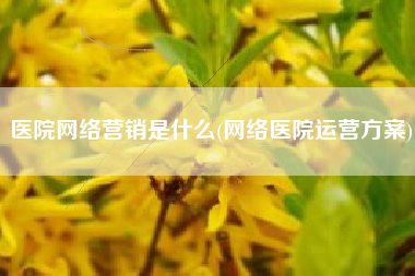 医院网络营销是什么(网络医院运营方案)