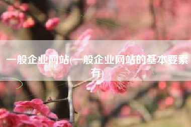 一般企业网站(一般企业网站的基本要素有)