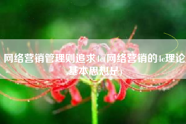 网络营销管理则追求4c(网络营销的4c理论,基本思想是)