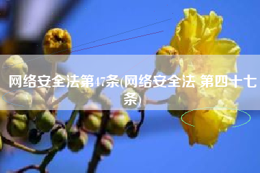 网络安全法第47条(网络安全法 第四十七条)