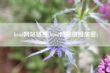 html网站链接(html网站链接加密)