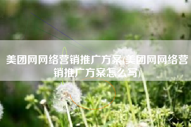 美团网网络营销推广方案(美团网网络营销推广方案怎么写)