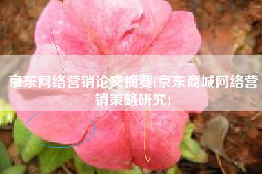 京东网络营销论文摘要(京东商城网络营销策略研究)
