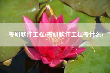 考研软件工程(考研软件工程考什么)