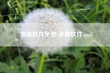 录像软件免费(录像软件app)