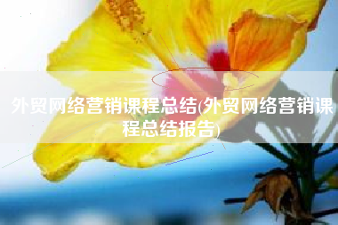 外贸网络营销课程总结(外贸网络营销课程总结报告)