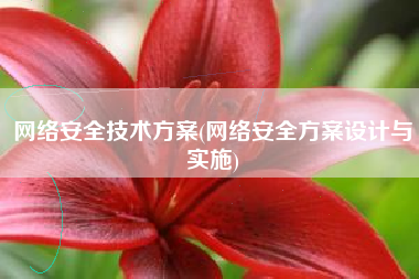 网络安全技术方案(网络安全方案设计与实施)