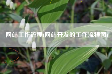 网站工作流程(网站开发的工作流程图)