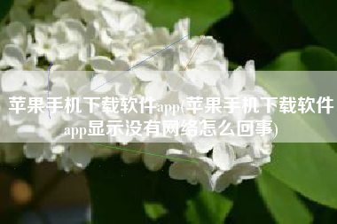苹果手机下载软件app(苹果手机下载软件app显示没有网络怎么回事)