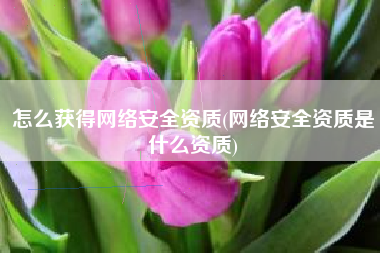 怎么获得网络安全资质(网络安全资质是什么资质)
