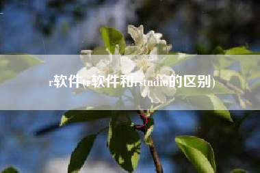 r软件(r软件和rstudio的区别)