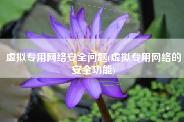虚拟专用网络安全问题(虚拟专用网络的安全功能)