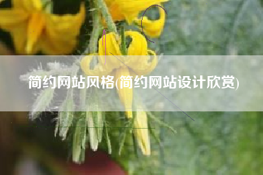 简约网站风格(简约网站设计欣赏)