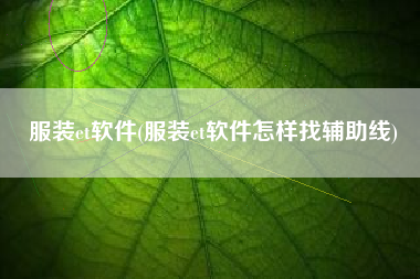 服装et软件(服装et软件怎样找辅助线)