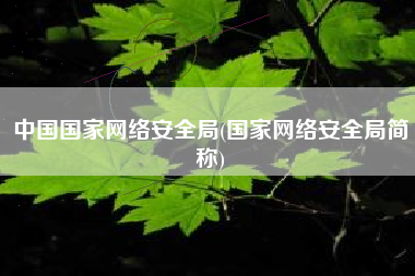 中国国家网络安全局(国家网络安全局简称)