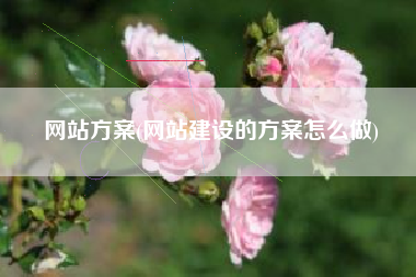 网站方案(网站建设的方案怎么做)