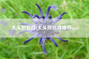 大头照软件(大头照软件推荐app)