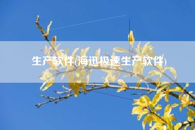 生产软件(海迅极速生产软件)