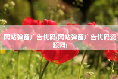 网站弹窗广告代码(网站弹窗广告代码资源网)