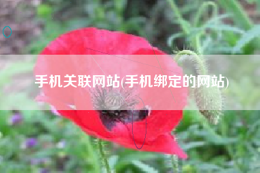 手机关联网站(手机绑定的网站)