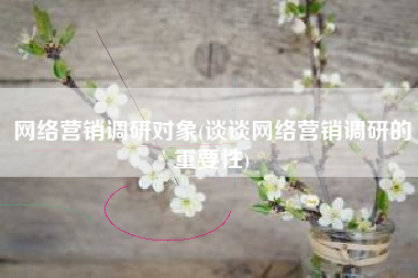 网络营销调研对象(谈谈网络营销调研的重要性)