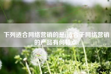 下列适合网络营销的是(适合于网络营销的产品有何特点)