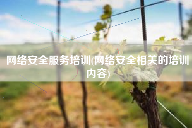 网络安全服务培训(网络安全相关的培训内容)