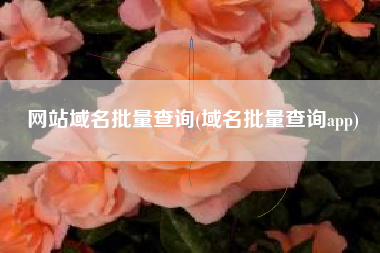 网站域名批量查询(域名批量查询app)
