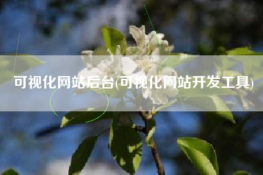 可视化网站后台(可视化网站开发工具)