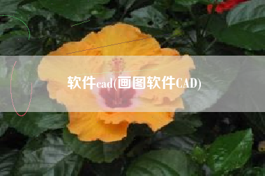 软件cad(画图软件CAD)