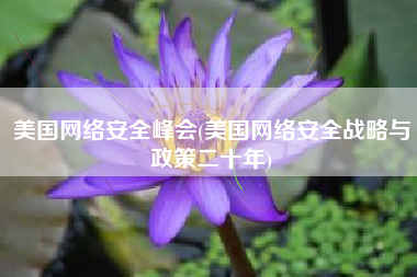 美国网络安全峰会(美国网络安全战略与政策二十年)