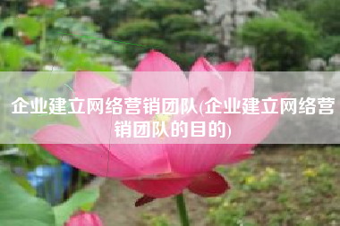企业建立网络营销团队(企业建立网络营销团队的目的)
