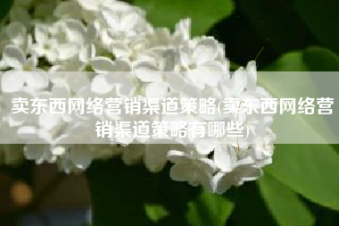 卖东西网络营销渠道策略(卖东西网络营销渠道策略有哪些)