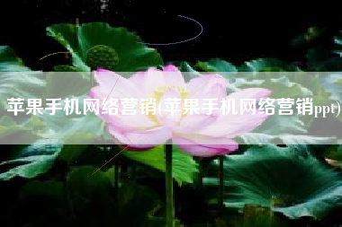 苹果手机网络营销(苹果手机网络营销ppt)