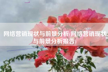 网络营销现状与前景分析(网络营销现状与前景分析报告)