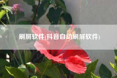 刷屏软件(抖音自动刷屏软件)