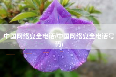 中国网络安全电话(中国网络安全电话号码)