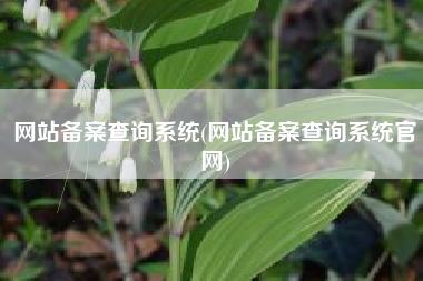 网站备案查询系统(网站备案查询系统官网)