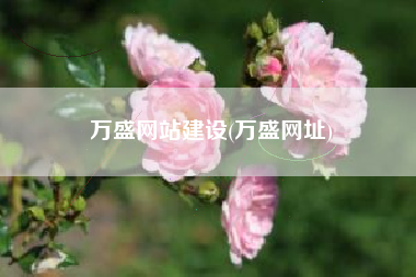 万盛网站建设(万盛网址)